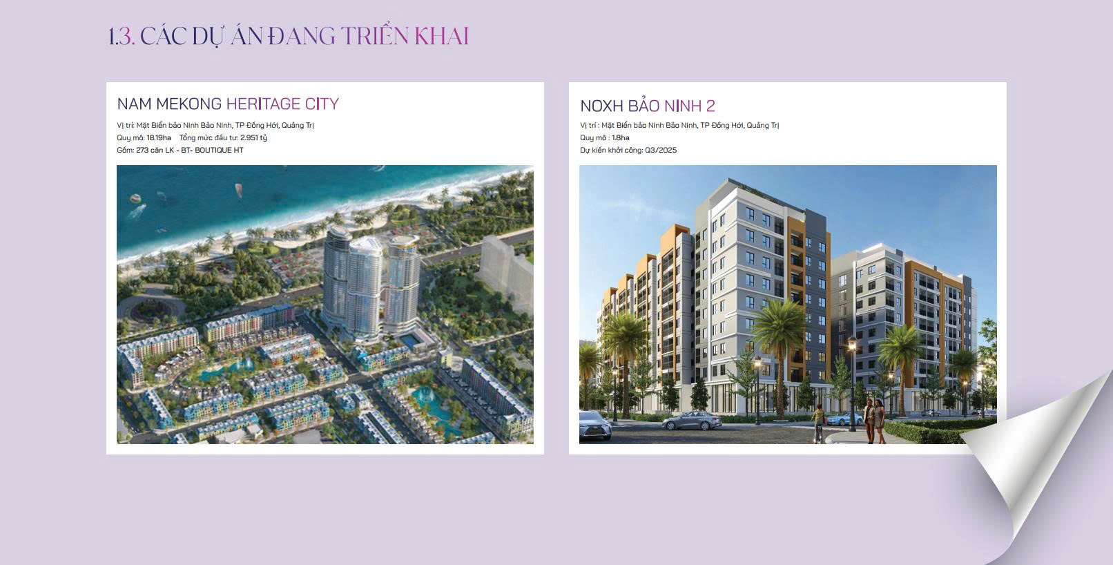 Dự án Nam Mekong Group đang triển khai